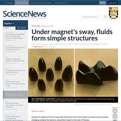 News in Brief: Under magnet's sway, fluids form simple structures