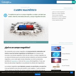 Campo Magnético: Concepto, Origen, Tipos y Características