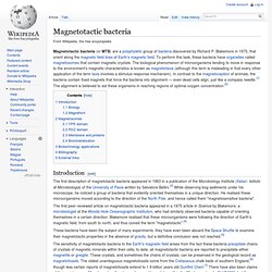 Magnetotactic bacteria