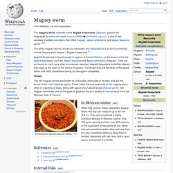 Maguey worm