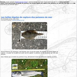 Les mailles ou tailles légales de capture des poissons de mer - Peche2caps.net