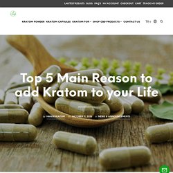 Top 5 Main Reason to add Kratom to your Life - Craving Kratom