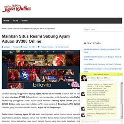 Mainkan Situs Resmi Sabung Ayam Aduan SV388 Online