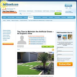 Top Tips to Maintain the Artificial Grass – An Expert’s View