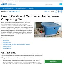 How to Create and Maintain an Indoor Worm Composting Bin