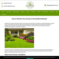 How to Maintain Your Garden in the Guildford Weather