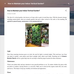 How to Maintain your Indoor Vertical Garden?