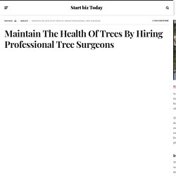 Maintain The Health Of Trees By Hiring Professional Tree Surgeons