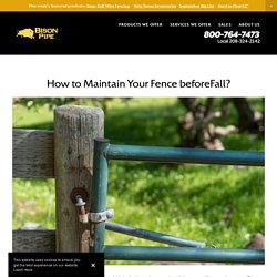 How to Maintain Your Fence beforeFall?