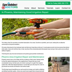 In Phoenix, Maintaining Good Irrigation Repair - Sprinkler DoctorsSprinkler Doctors