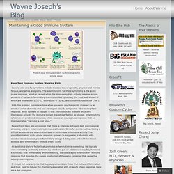Maintaining a Good Immune System « Wayne Joseph’s Blog