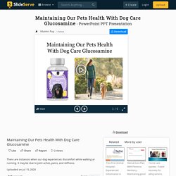 Maintaining Our Pets Health With Dog Care Glucosamine