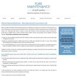 Pure Maintenance of NC » Mold Remediation- Residential/Commercial