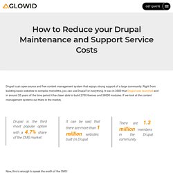 How to Reduce your Drupal Maintenance and Support Service Costs