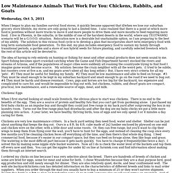 Low Maintenance Animals That Work For You: Chickens, Rabbits, and Goats