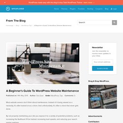 A Beginner's Guide To WordPress Website Maintenance