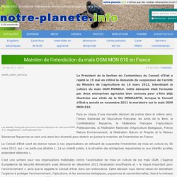 Maintien de l'interdiction du maïs OGM MON 810 en France
