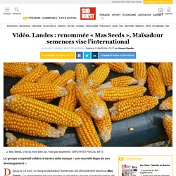 Vidéo. Landes : renommée « Mas Seeds », Maïsadour semences vise l’international