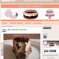 Je fais tout ... maison !: Gâteau glacé chocolat et spéculoos