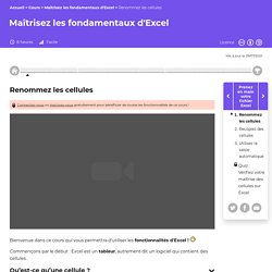 Renommez les cellules - Maîtrisez les fondamentaux d'Excel