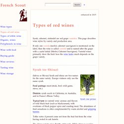 The 8 major types of red wines - French Scout