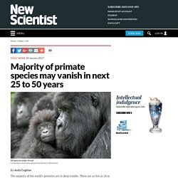 Majority of Primate Species Vanishing