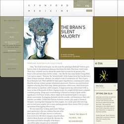 The brain&s silent majority - 2009 FALL - Stanford Medicine Magazine