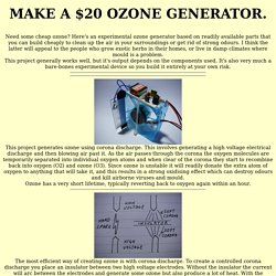 Make a $20 ozone generator.