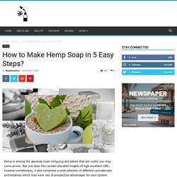 How to Make Hemp Soap in 5 Easy Steps? - Roadsnotaken