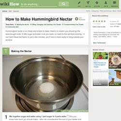 How to Make Hummingbird Nectar: 10 Steps