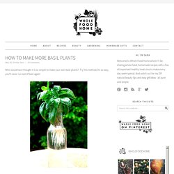 How To Make More Basil Plants - Whole Food Home