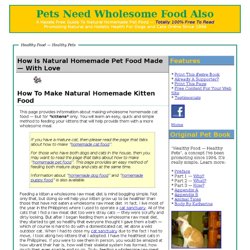 How To Make Natural Homemade Kitten Food