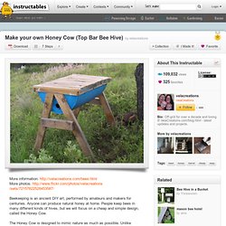 Make your own Honey Cow (Top Bar Bee Hive)
