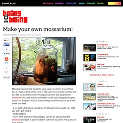 Make your own mossarium!