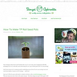 How To Make TP Roll Seed Pots