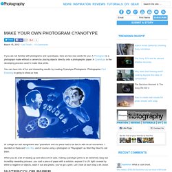 Make Your Own Photogram Cyanotype