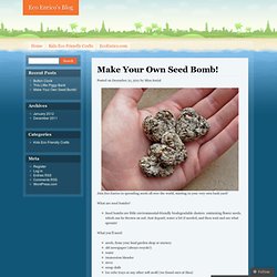 Make Your Own Seed Bomb!