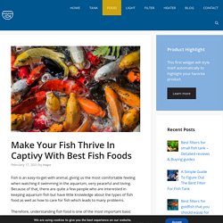 Make Your Fish Thrive In Captivy With Best Fish Foods - New 2021