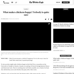 What makes chickens happy? Nobody is quite sure