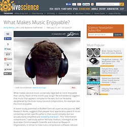 What Makes Music Enjoyable?