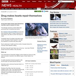 Drug makes hearts repair themselves