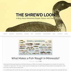 What Makes a Fish ‘Rough’ in Minnesota? – The Shrewd Loon