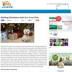 Making Christmas Safe For Your Pets