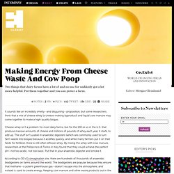 Making Energy From Cheese Waste And Cow Poop