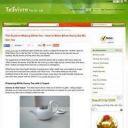 Making White Tea Guide – How to Make White peony tea