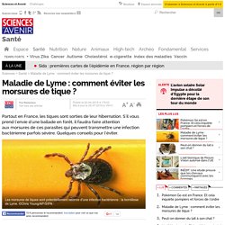 Maladie de Lyme : comment éviter les morsures de tique ?