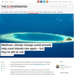 Maldives: climate change could actually help coral islands rise again – but they're still at risk
