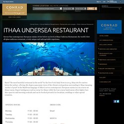 Maldives Restaurants and Lounges - Conrad Maldives Rangali Island