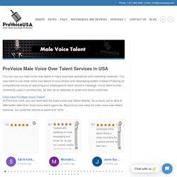 Professional Male Voice Over