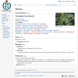 Maloideae (Pyrinae) Pearltrees